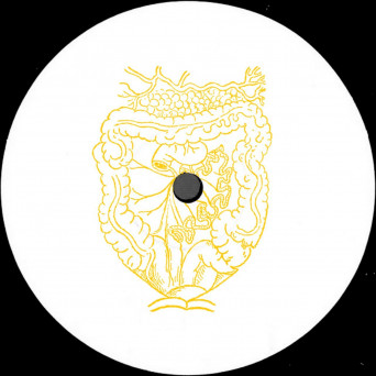 Scam Dust – Gastric Pulse