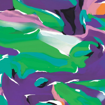 Auntie Flo – Birds Of Paradise (Remixes)