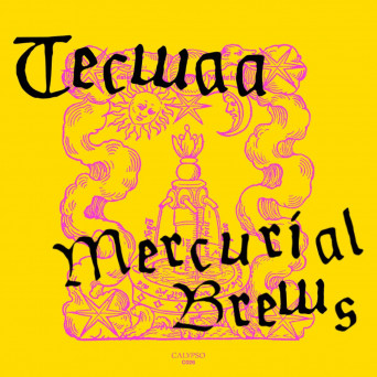 Tecwaa – Mercurial Brews