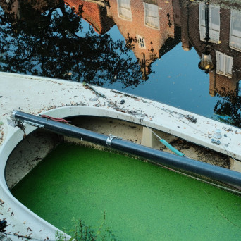 Francesco Panettone – Bells