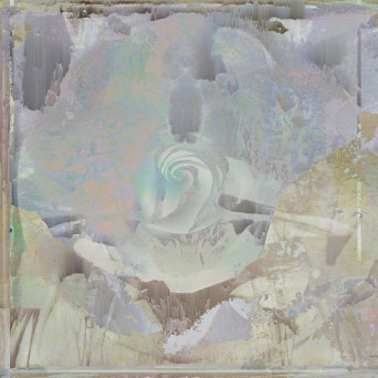 John Bryars – Invariant