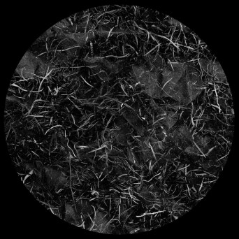 A4 (ES) – Extraños En Nuestro Interior