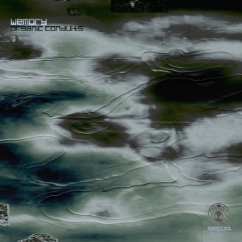Wemory – Organic Conduits