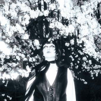 Molly Lollen – Poshes, I’m Sorry