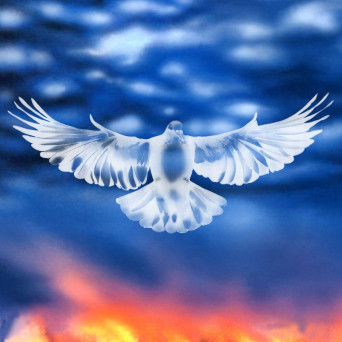 FaltyDL – Mission Barnhus