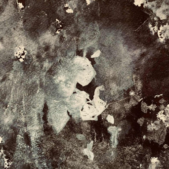 Trismus – A Walk in The Concrete Field EP – TREATd12