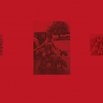 Luv Jam & Maria Slovakova – Carnedd Dafydd (David’s Cairn)