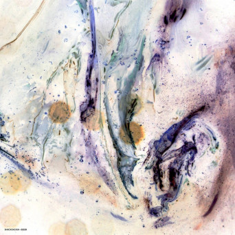 SHXCXCHCXSH – EEEER