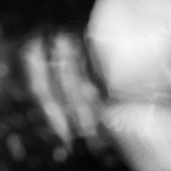 K Tacere – Blue Man