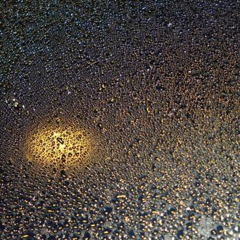 Birds – Weird Weather In Dystopia