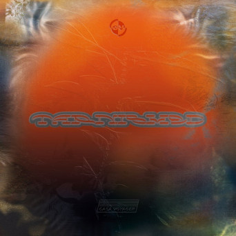 Hassan Abou Alam – Tarnished