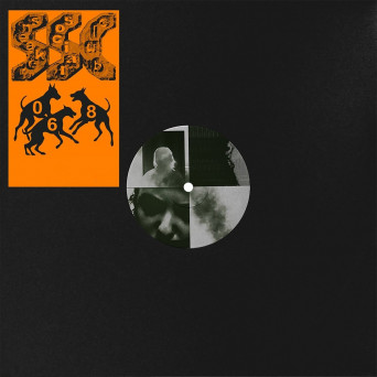 Low End Activist –  Fake Idols / Atomic Clock