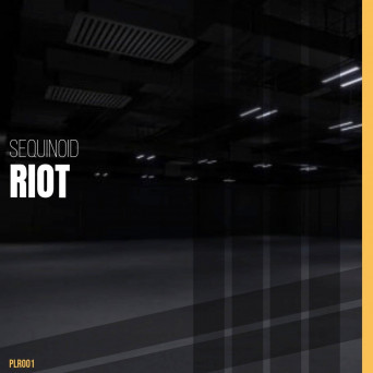 Sequinoid – Riot