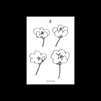 Lawrence – Poppies