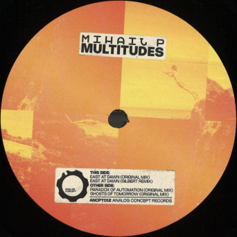 Mihail P – Multitudes