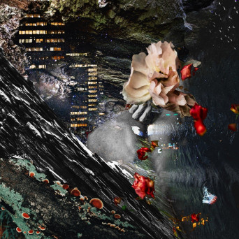 KaioBarssalos – Starting Point