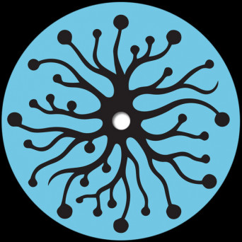 Mattias El Mansouri – Sense Data