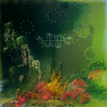 Nicche – In Due Time