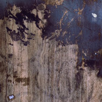 Mogo – Dopamine Ecstasy