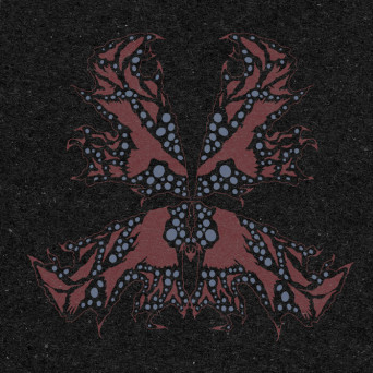 Night Garden – Gost