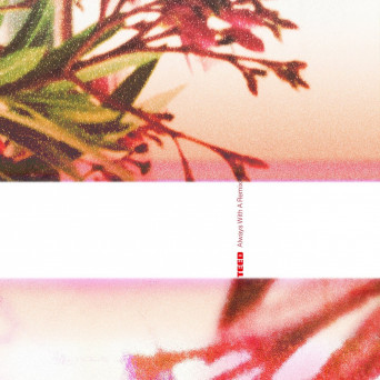 VA – Always With A Remix