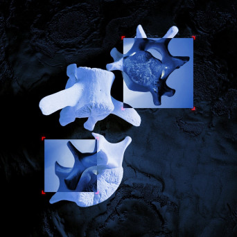 Assimilated – Totem Collapse EP