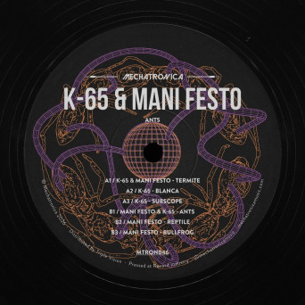 Mani Festo, K-65 – Ants