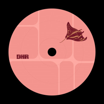 Robbie N4HC – Self Indulgence & Consumption