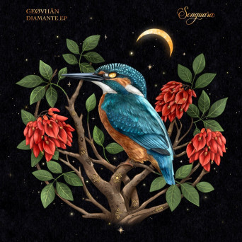 GEØVHÄN – Diamante