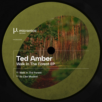 Ted Amber – Walk In The Forest EP