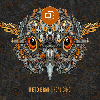 Reto Erni – Realising
