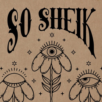 DJ 3000 – So Sheik