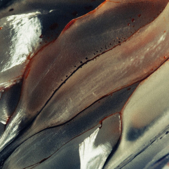 Bekkler & BLV – They Will Get You