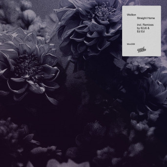 Wollion – Straight Home