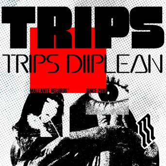 diiplean – TRIPS