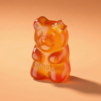 voicex – Cross the Silence