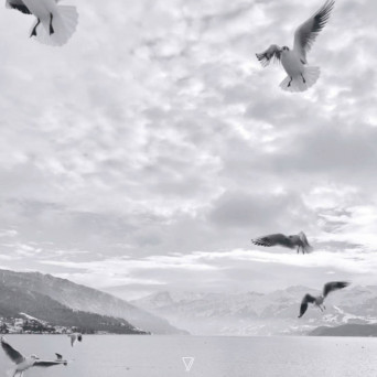 Sin Sensor, Conduit – Tie Three