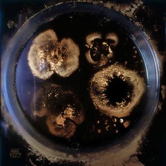 Teqmun – A Man and His Toad EP