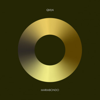 QVLN – Marimbondo