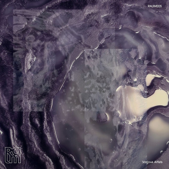 VA – RAUM VA 002