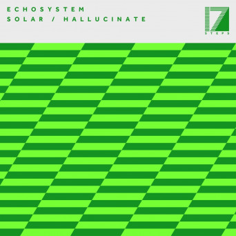 Mak & Pasteman, Echosystem – Solar Hallucinate