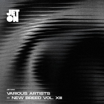 VA – New Breed, Vol. Xiii