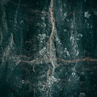 Rødder – Vast Structure