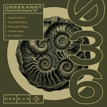 Unbekannt – Primordial Beats