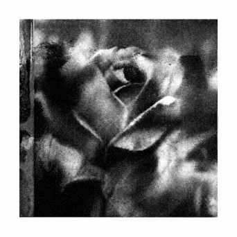Joline Scheffler – Serenade