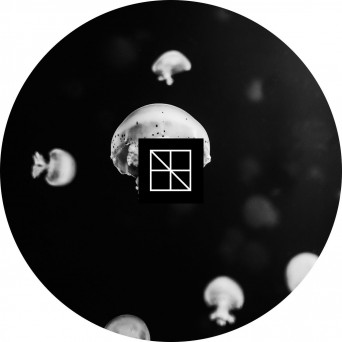 Stijn Vanmarsenille – Underneath The Sea Lies An Ocean Part 1