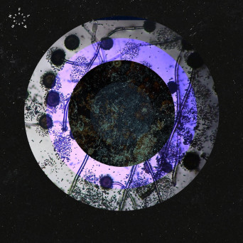 Abnormal Load – Liquid Lunch EP