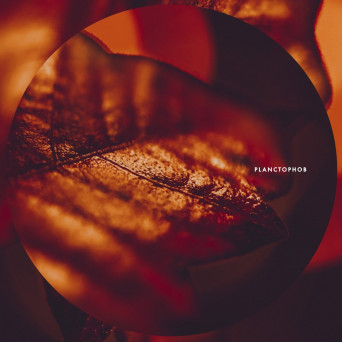 Planctophob – Fossil