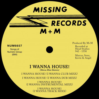 M+M, Marcus Mixx – I Wanna House!