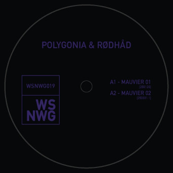 Rødhåd, Polygonia – MAUVIER